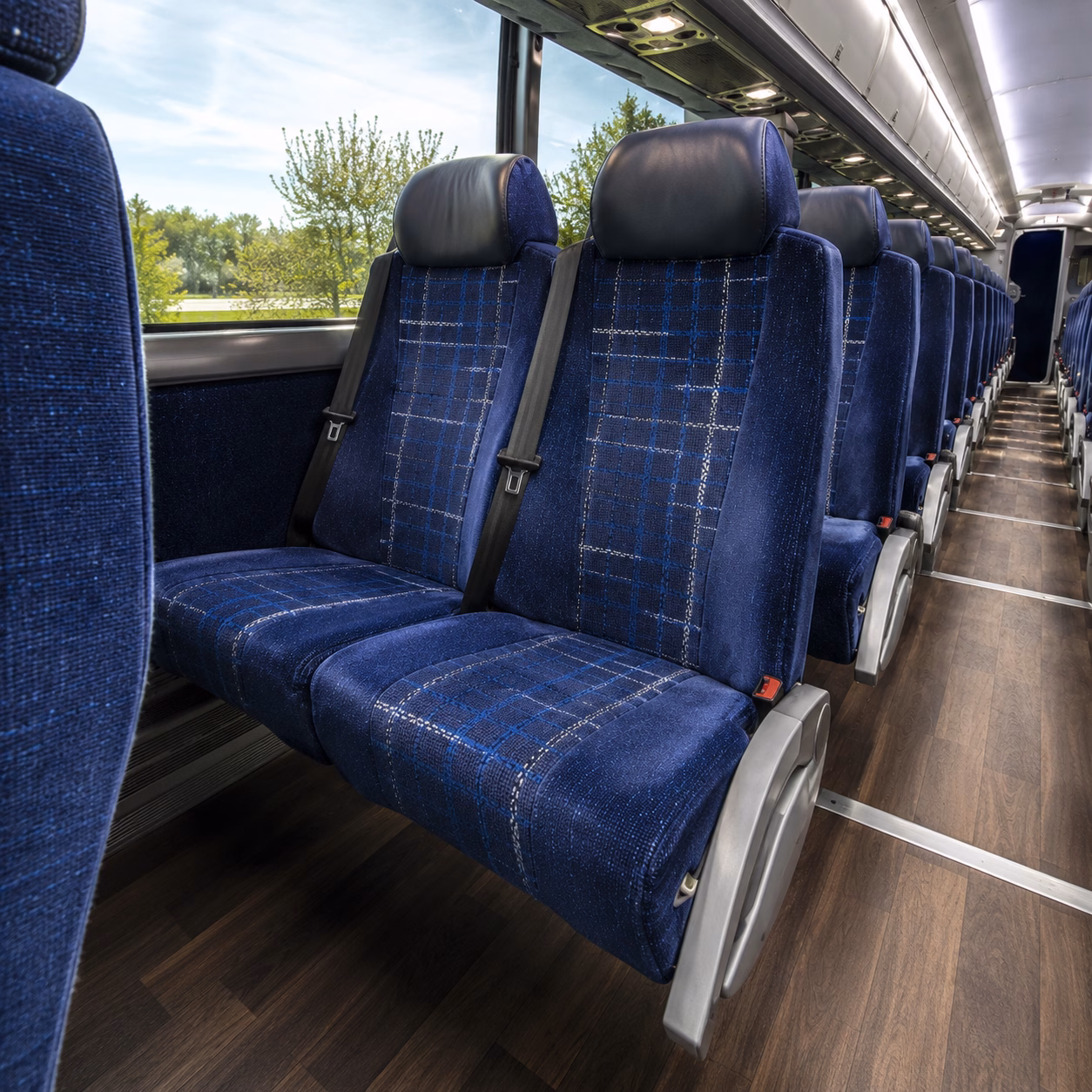 carrollton family reunion and vacation bus rentals